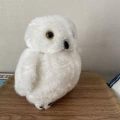 シロフクロウ ぬいぐるみのサムネイル