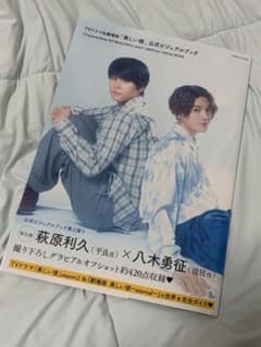 TVドラマ&劇場版 美しい彼 公式ビジュアルブックのサムネイル