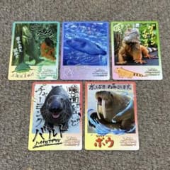 鳥羽水族館 TOBA AQUARIUM コレクションカード vol.2 - メルカリ