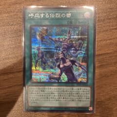 遊戯王 呼応する伝説の都 シークレット - メルカリ
