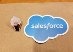 《非売品》Salesforce セールスフォース ステッカー + ピンズ 2点のサムネイル