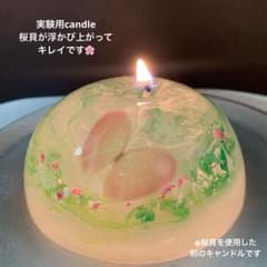 春 桜 キャンドル Spring candle butterfly 2点セット