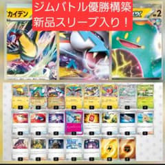 大特価】タケルライコexデッキ 構築済みデッキ ナンジャモのハラバリー