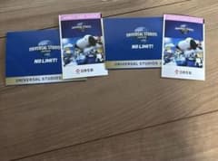 ユニバーサルスタジオジャパン パートナーパス 大人 2枚 - メルカリ