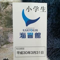海響館無料券のサムネイル