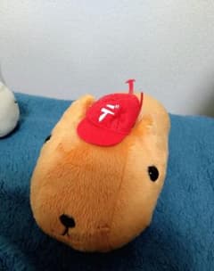 공식 상품 카피바라씨 콜라보 봉제인형