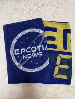 ◎熊十狼様専用◎NEWSTOUR タオルのサムネイル