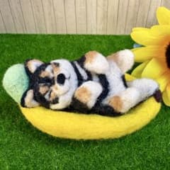 バナナのベッドで、へそてん姿のちっちゃな黒柴ちゃん(羊毛フェルト