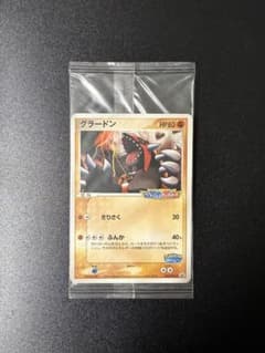 ポケモンカード グラードン ポケパーク2005年の限定カード 未開封