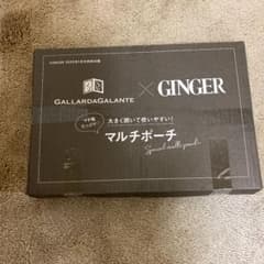 GINGER ジンジャー　1月号の付録のサムネイル