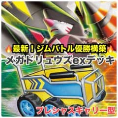 最安価格‼️メガドリュウズexデッキ 本格構築デッキ 構築済みデッキ
