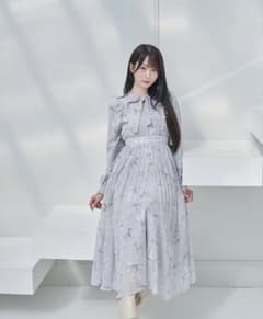 ふ*ふ様 Rose Muse ribbon pattern pleated dr - メルカリ