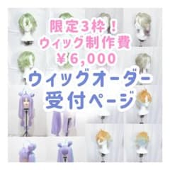 3枠】ウィッグオーダー 受付ページ 限定3枠‼️ - メルカリ