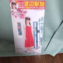 渡辺梨加　クリアファイルのサムネイル