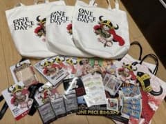 ONE PIECE DAY 상품 세트