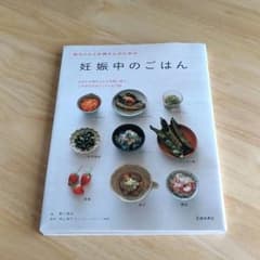 《値下げ》妊娠中のごはん 野口真紀のサムネイル