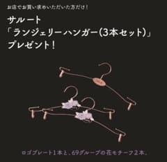 ワコール　サルート　ノベルティハンガーのサムネイル
