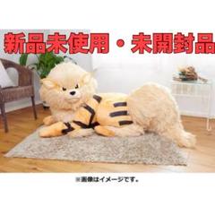 添い寝　ウインディ　ぬいぐるみ　ポケモンセンター ぬいぐるみ 添い寝ウインディ」がポケモンセンターオンラインで