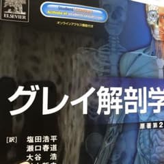 グレイ解剖学のサムネイル