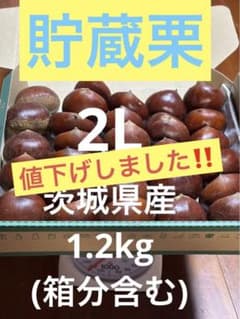 貯蔵栗 2L 茨城県産 1.2kg(箱分含む)のサムネイル