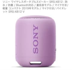 SONY Wireless Portable Speaker SRS-XB12(V)