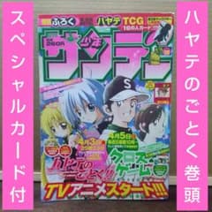 週刊少年サンデー 2009年4月15日号※ハヤテのごとく巻頭 スペシャル