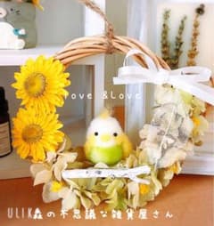 小鳥のミニリース　バード　プリザーブドフラワーリース　インコのサムネイル
