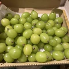 長野県産 シャインマスカット 粒mix 1kg - メルカリ