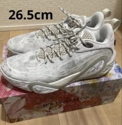 ほぼ新品！リーニン Way of Wade Dlo1 「月ノ岩」26.5 - メルカリ