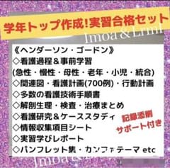 人気No2☆実習応援セット   無料相談特典ありのサムネイル