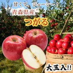 ★期間限定★青森県産 つがる りんご 大玉入 贈答用（金特選） 6~8玉 ㉛のサムネイル