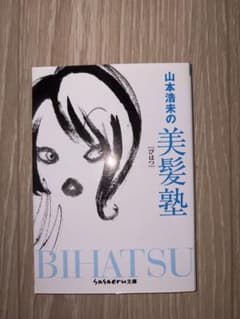 山本浩未の美髪塾 sasaeru文庫のサムネイル
