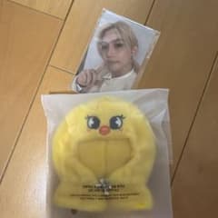 スキズ OUTFIT 10cm ペンミ フィリックス ピリ ポガリ くじ トレカ