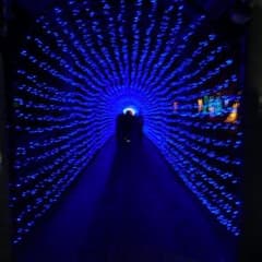 サーシェス様専用のサムネイル