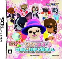 ワンタメうらないチャンネル　DSソフトのみのサムネイル