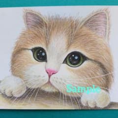色鉛筆画(ハガキサイズ)「…おやつ…まだかニャ？」猫・子猫♡ - メルカリ