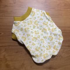 ミモザ　犬服　わんこ服のサムネイル