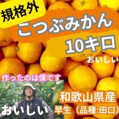 規格外　小粒みかん　10キロ　和歌山県産　早生のサムネイル