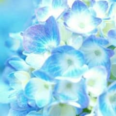 ありがとうございます♥のサムネイル