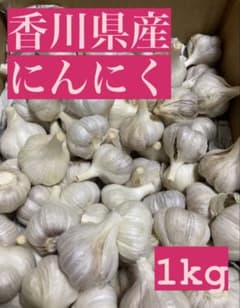 【土筆様専用】香川県産　乾燥にんにく Mサイズ　2kgのサムネイル