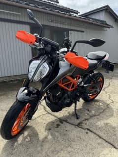 m65082527171_1.jpg?1727183734