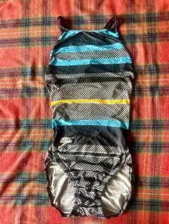 Speedo ストライプ水着 Mサイズのサムネイル