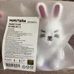 SEVENTEEN セブチ MINITEEN エスクプス マグネットキーリングのサムネイル