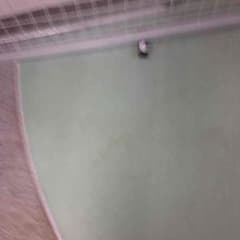 きんにくん専用のサムネイル
