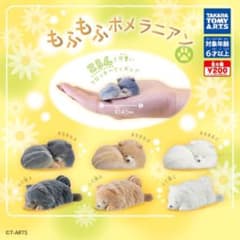 チャッピー様 リクエスト 3点 まとめ商品のサムネイル