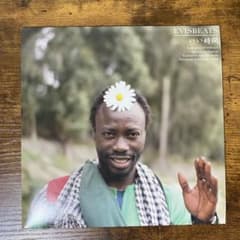 EVISBEATS 田我流 いい時間 ゆれる レコード 7インチ - メルカリ