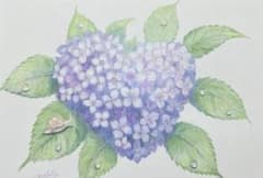手描きイラスト 紫陽花 ハート型 額縁付きのサムネイル