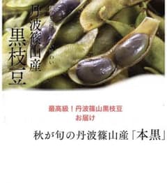 丹波篠山　黒枝豆のサムネイル