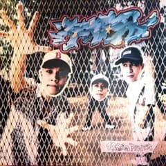 スチャダラパー 日本語ラップ レコード 偶然のアルバム 1996 2LP