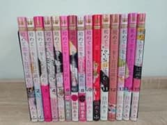 初めて恋をした日に読む話 全15巻セットのサムネイル